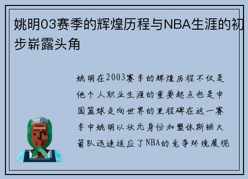 姚明03赛季的辉煌历程与NBA生涯的初步崭露头角